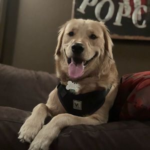 Meet your Posher, Ryan